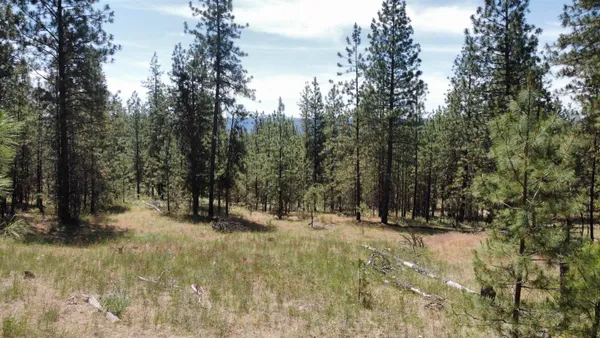 $139,000 | Nna Corkscrew Canyon Road, Tumtum, WA 99034