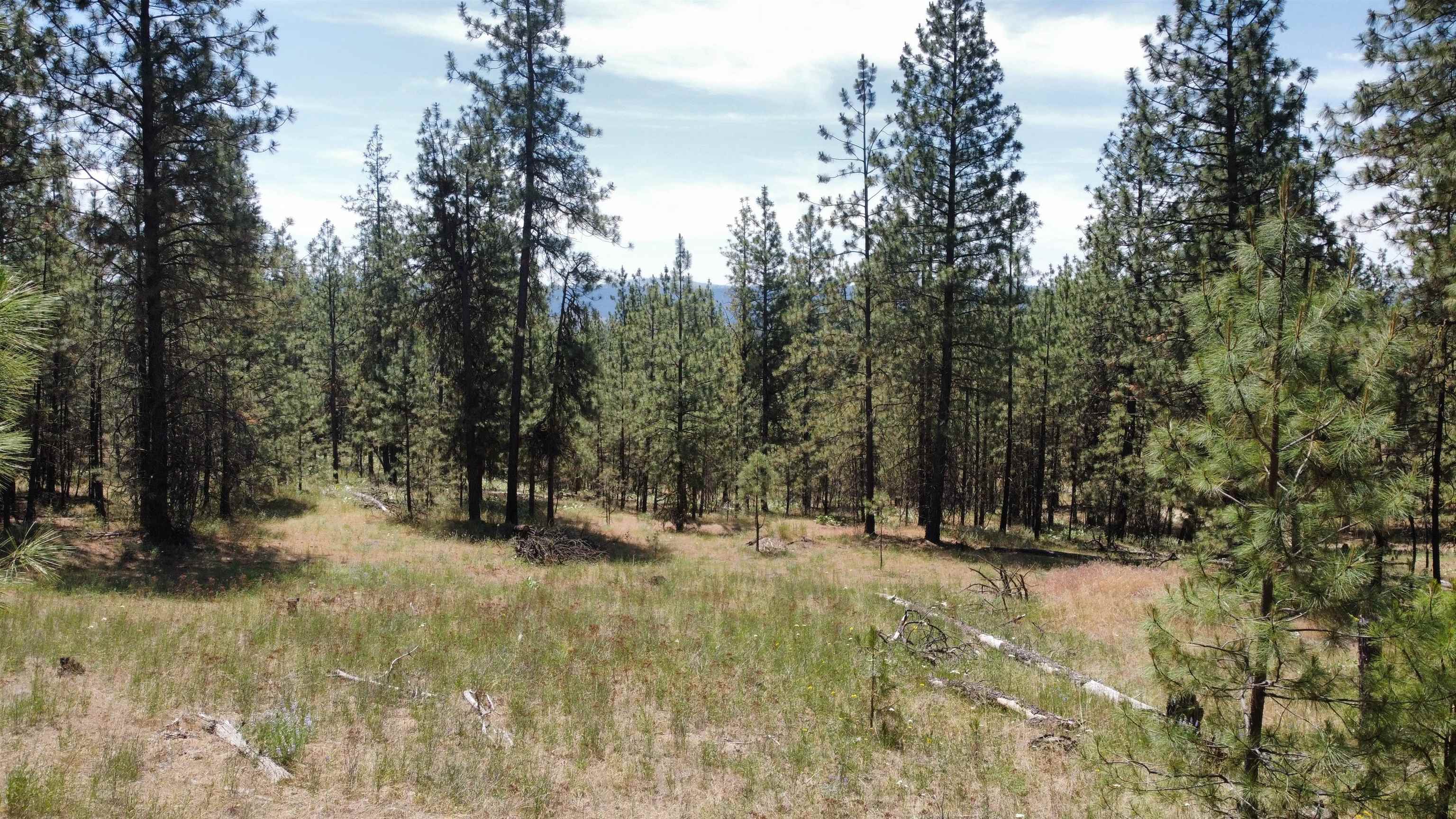 Nna Corkscrew Canyon Road Tumtum, WA 99034 - Photo 33 of 41