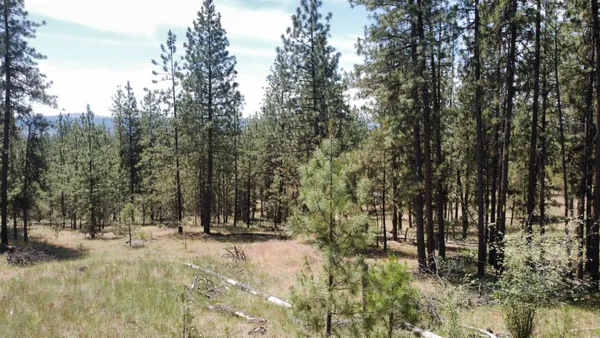 $139,000 | Nna Corkscrew Canyon Road, Tumtum, WA 99034