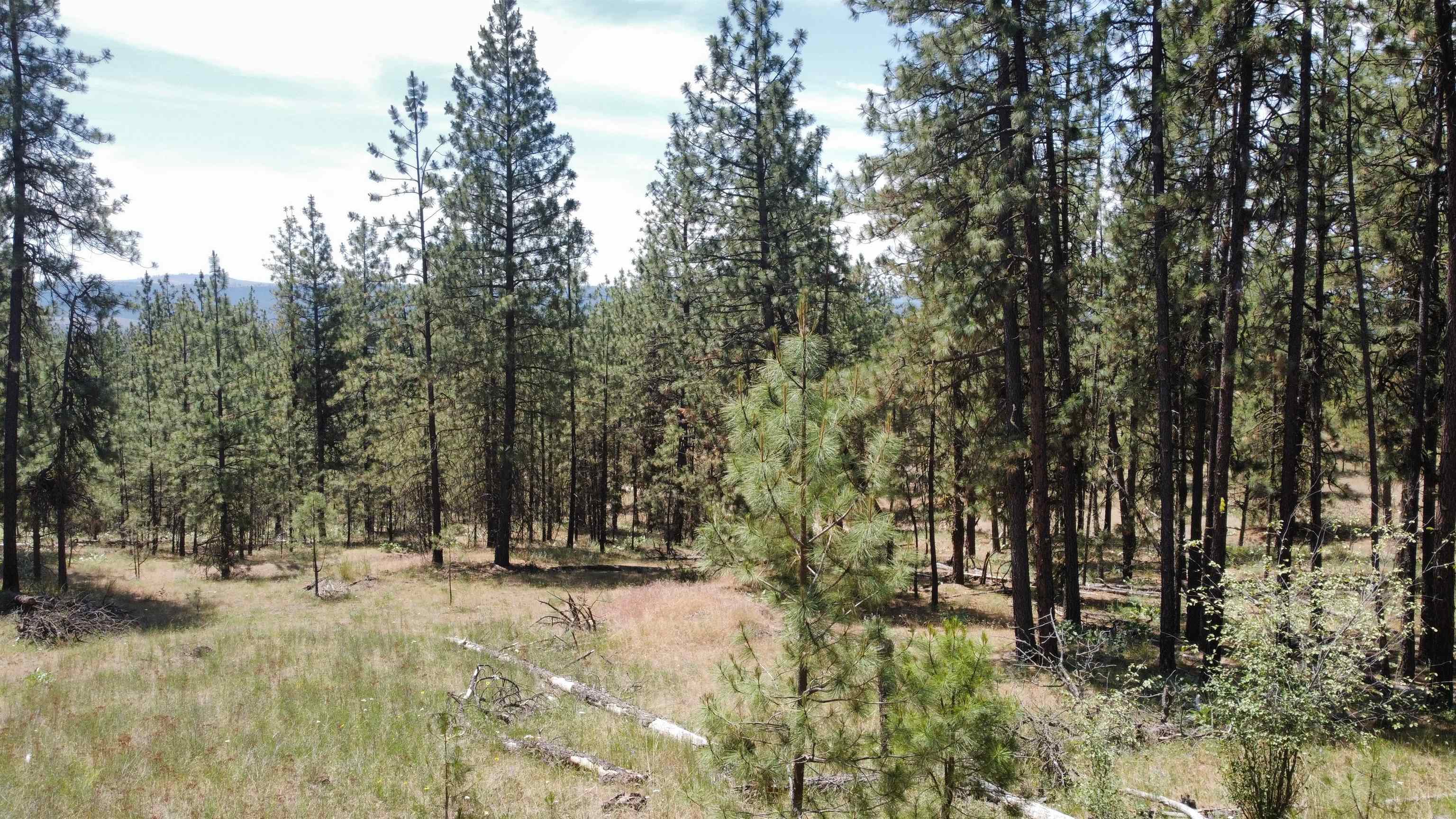 Nna Corkscrew Canyon Road Tumtum, WA 99034 - Photo 34 of 41