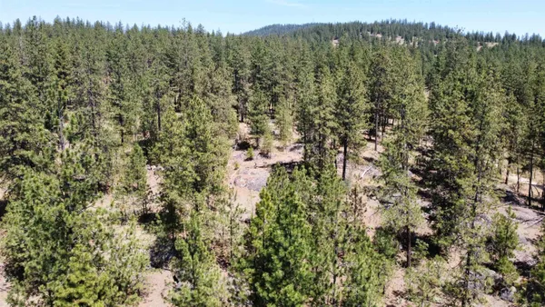 $139,000 | Nna Corkscrew Canyon Road, Tumtum, WA 99034