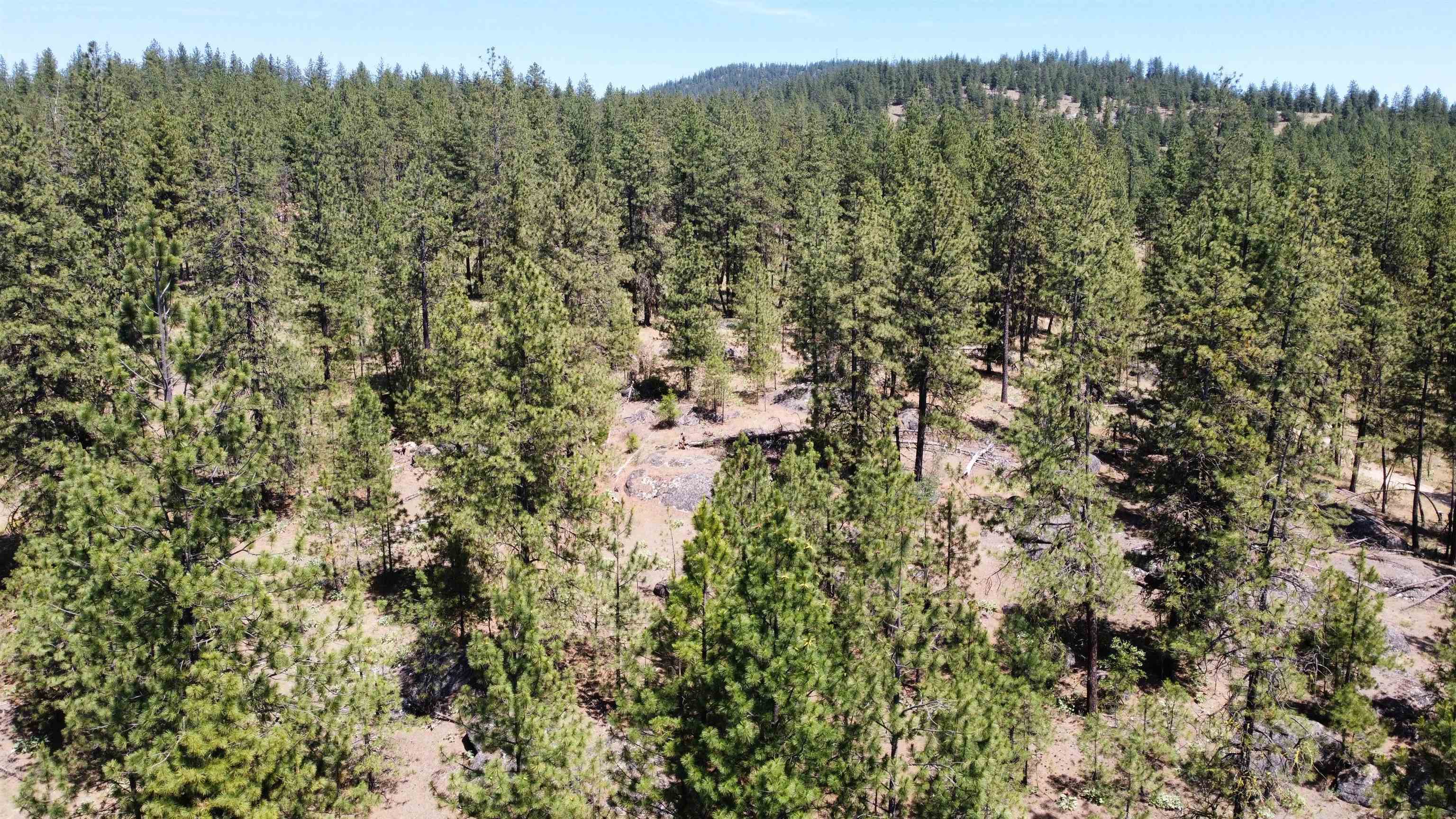 Nna Corkscrew Canyon Road Tumtum, WA 99034 - Photo 37 of 41