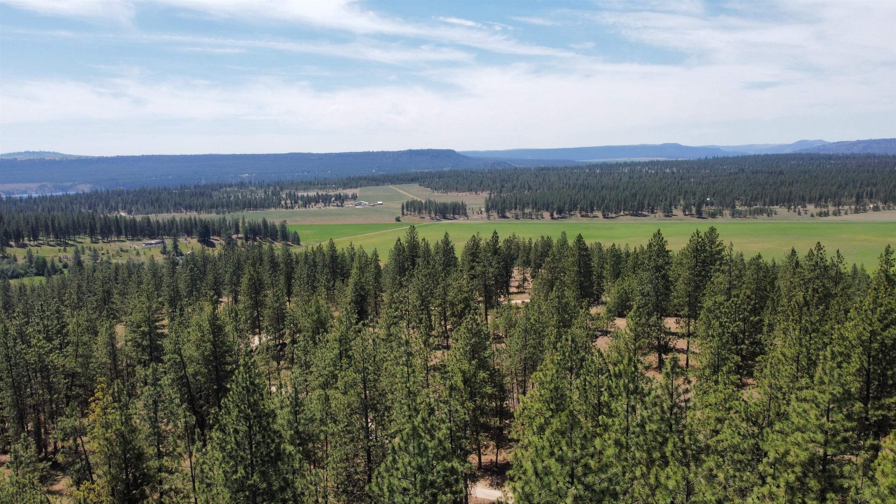 Nna Corkscrew Canyon Road Tumtum, WA 99034 - Photo 39 of 41