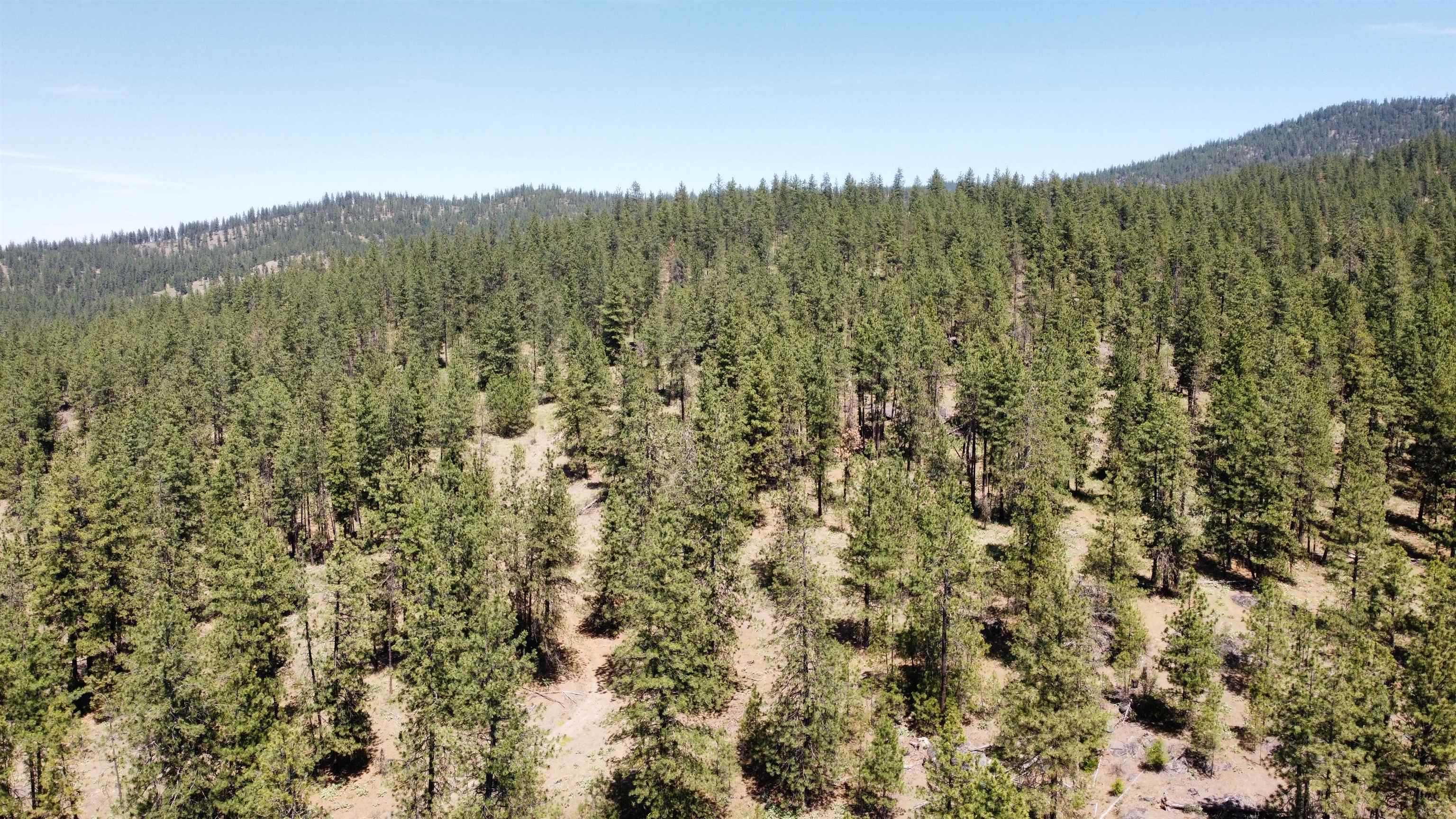 Nna Corkscrew Canyon Road Tumtum, WA 99034 - Photo 40 of 41