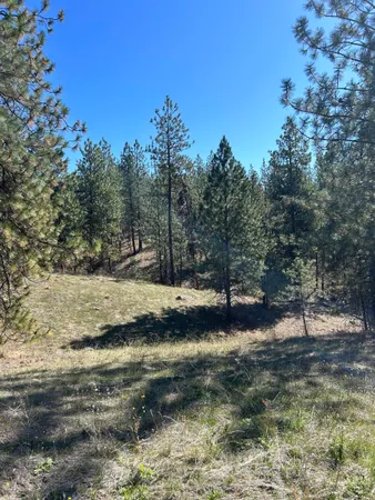 $139,000 | Nna Corkscrew Canyon Road, Tumtum, WA 99034