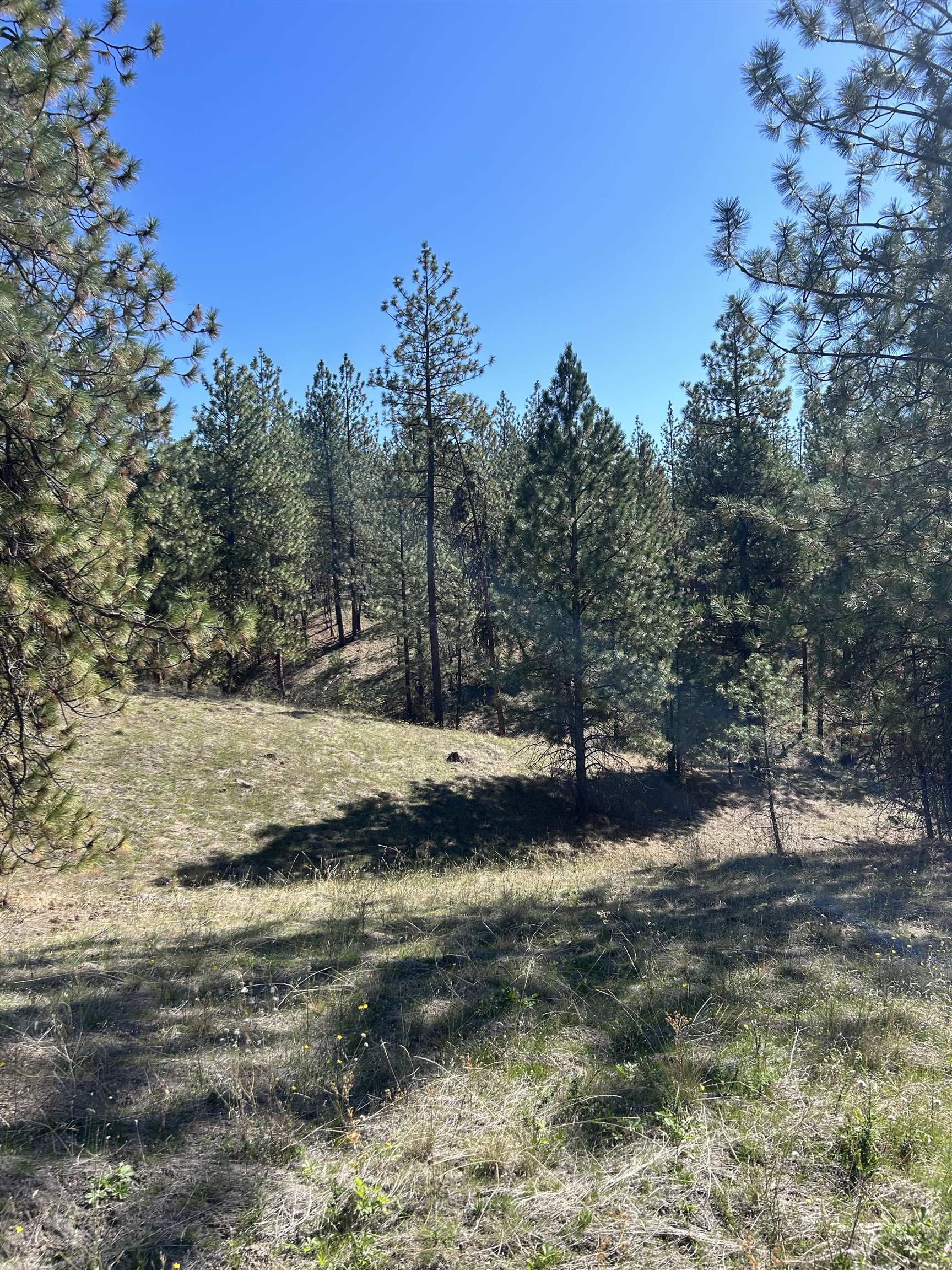 Nna Corkscrew Canyon Road Tumtum, WA 99034 - Photo 4 of 41