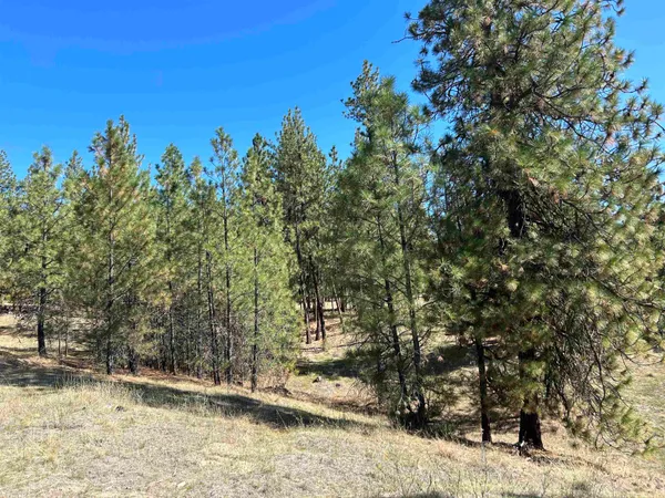 $139,000 | Nna Corkscrew Canyon Road, Tumtum, WA 99034