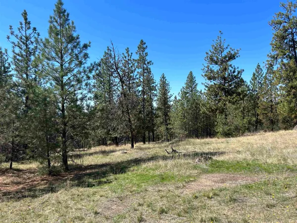 $139,000 | Nna Corkscrew Canyon Road, Tumtum, WA 99034