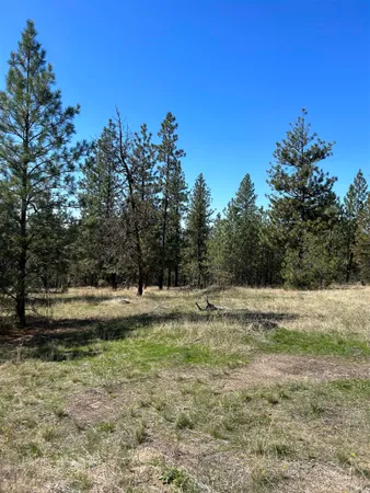$139,000 | Nna Corkscrew Canyon Road, Tumtum, WA 99034