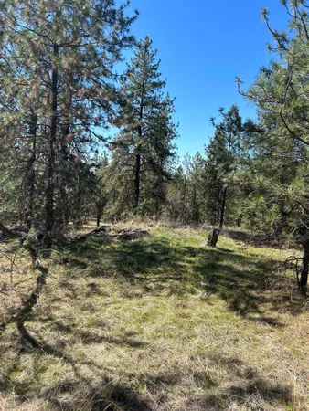 $139,000 | Nna Corkscrew Canyon Road, Tumtum, WA 99034