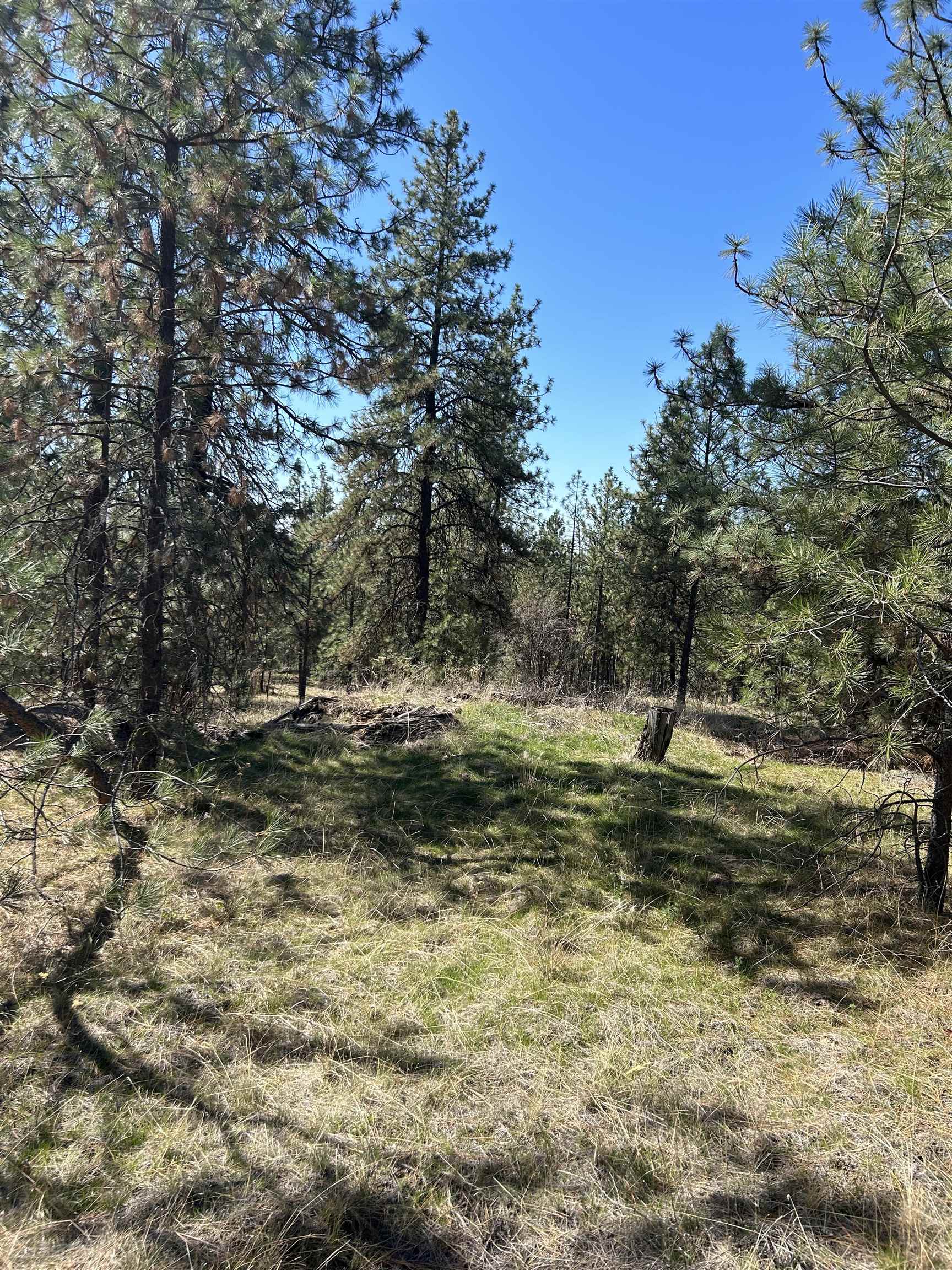 Nna Corkscrew Canyon Road Tumtum, WA 99034 - Photo 8 of 41