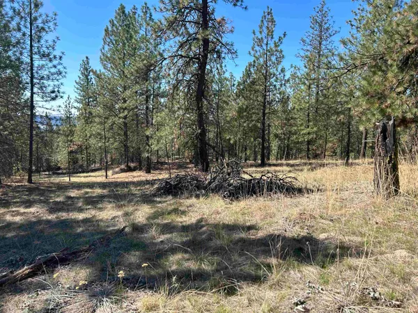 $139,000 | Nna Corkscrew Canyon Road, Tumtum, WA 99034