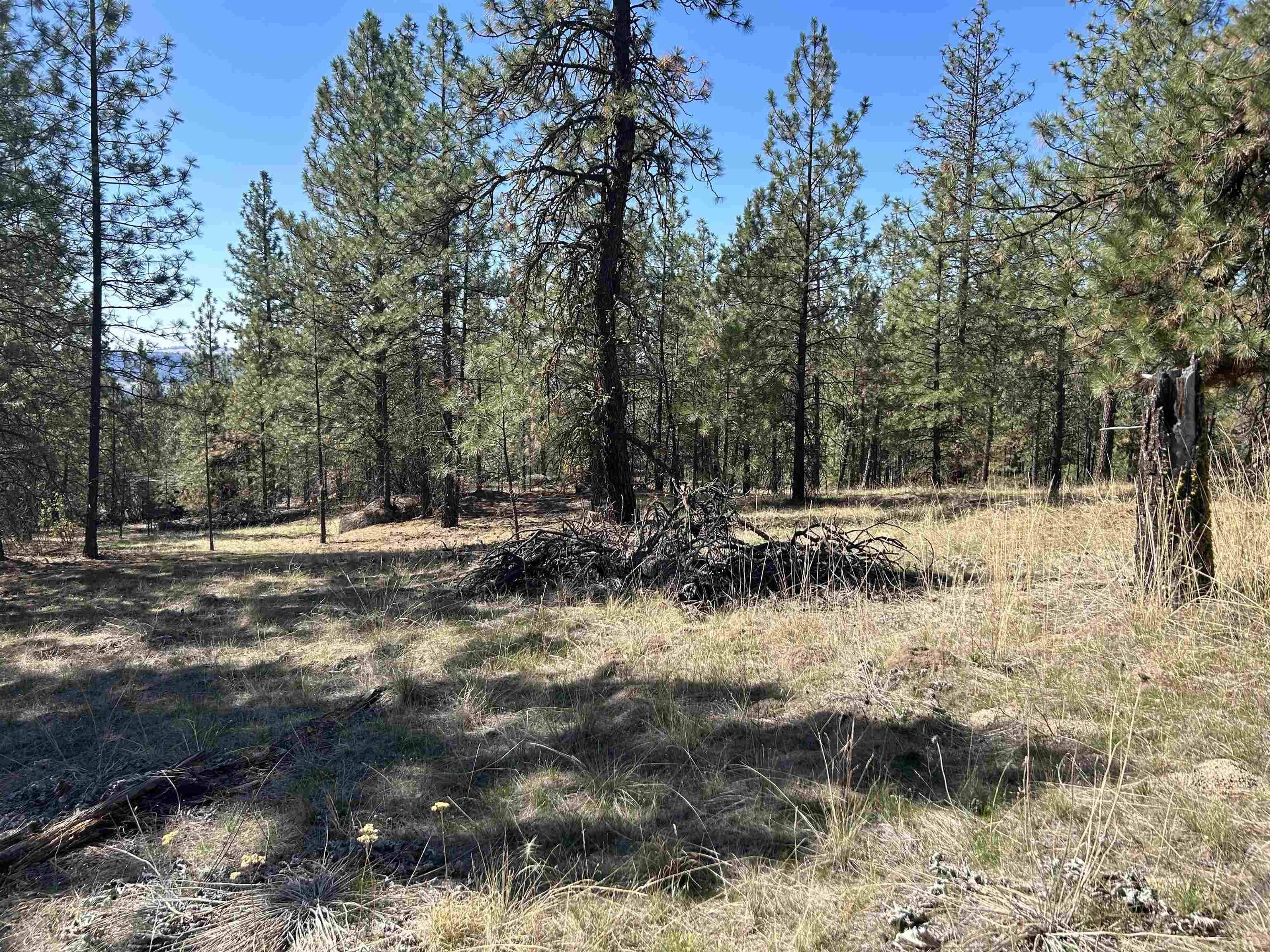 Nna Corkscrew Canyon Road Tumtum, WA 99034 - Photo 9 of 41