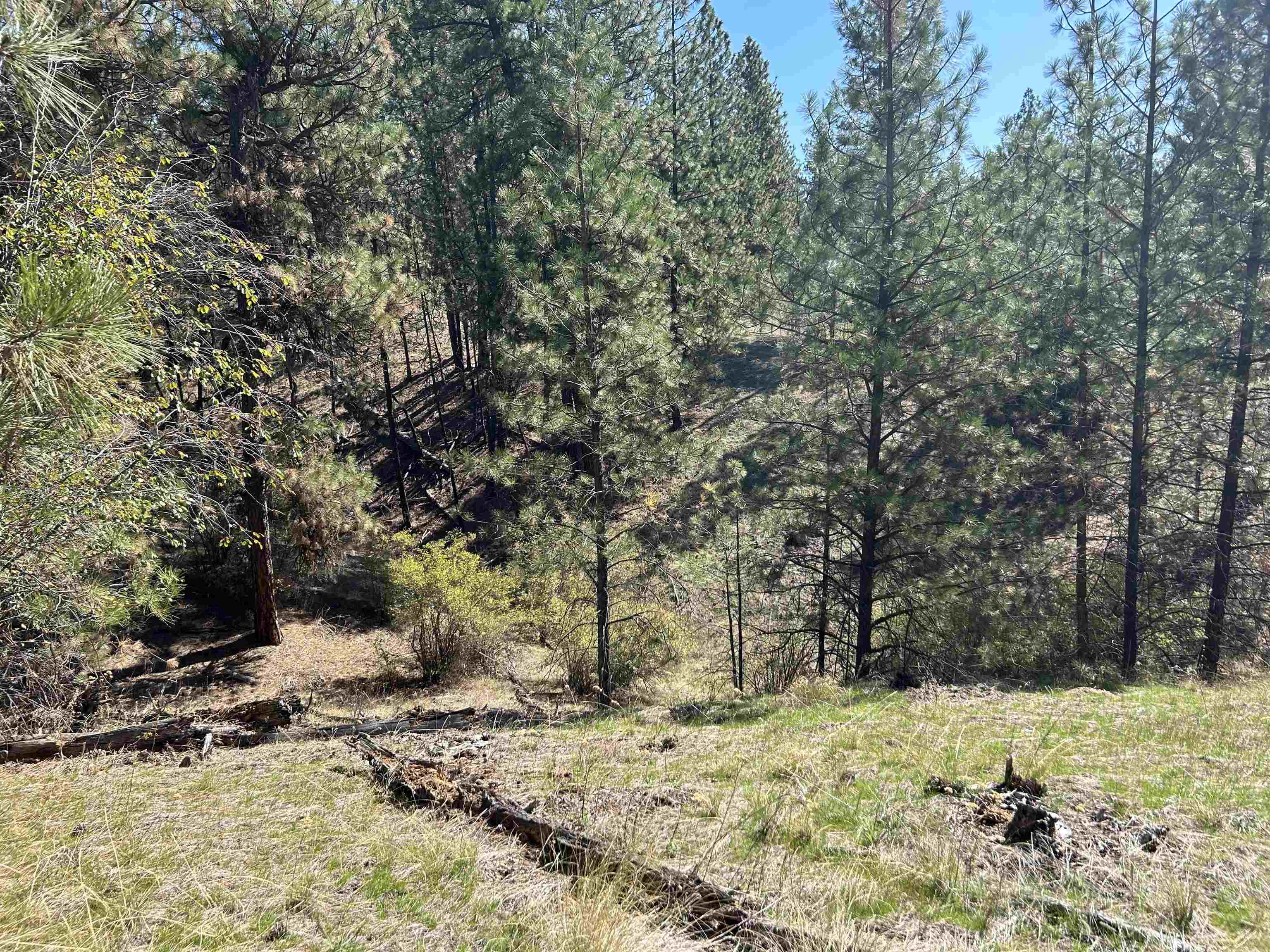 Nna Corkscrew Canyon Road Tumtum, WA 99034 - Photo 10 of 41