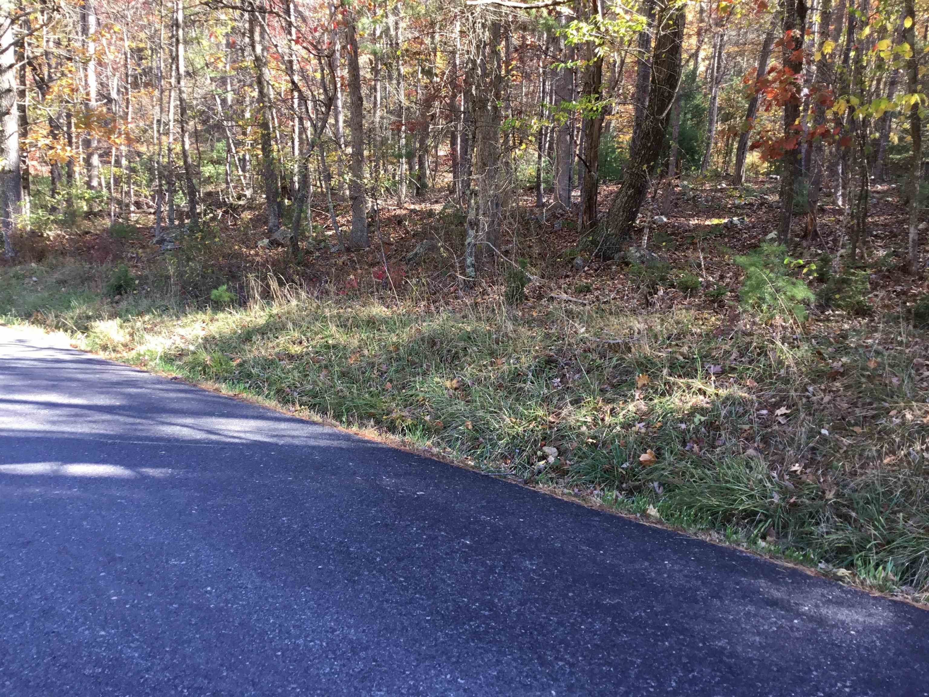 2817 Dry Run Road Franklin, WV 26807 - Photo 2 of 6