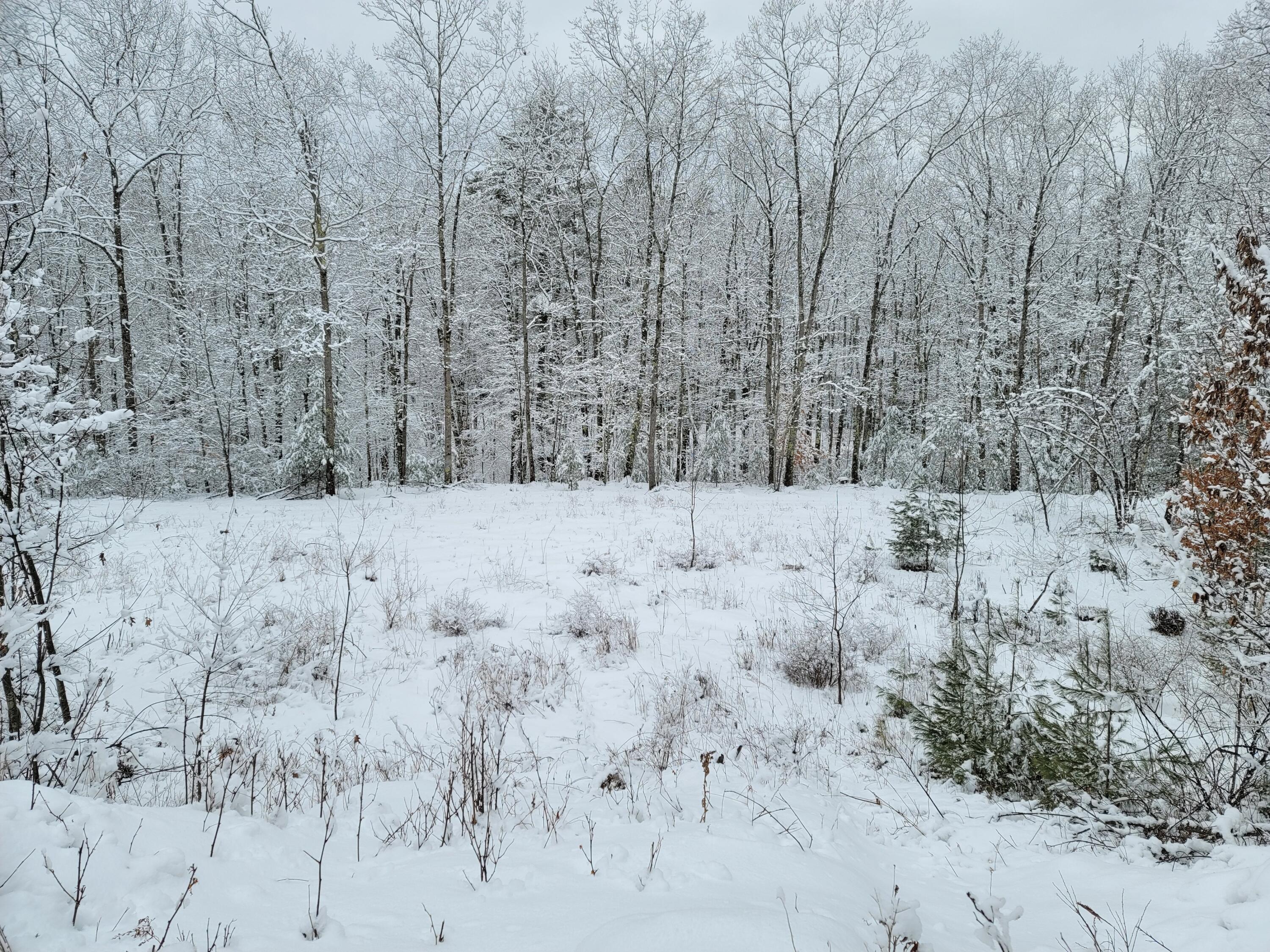 9 Commons Drive Lewiston, ME 04240 - Photo 2 of 14 20240129_140011