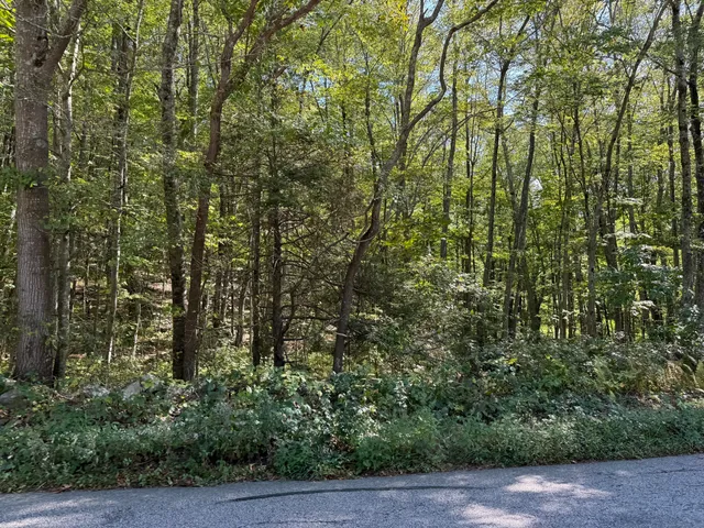 a view of a yard with plants and trees