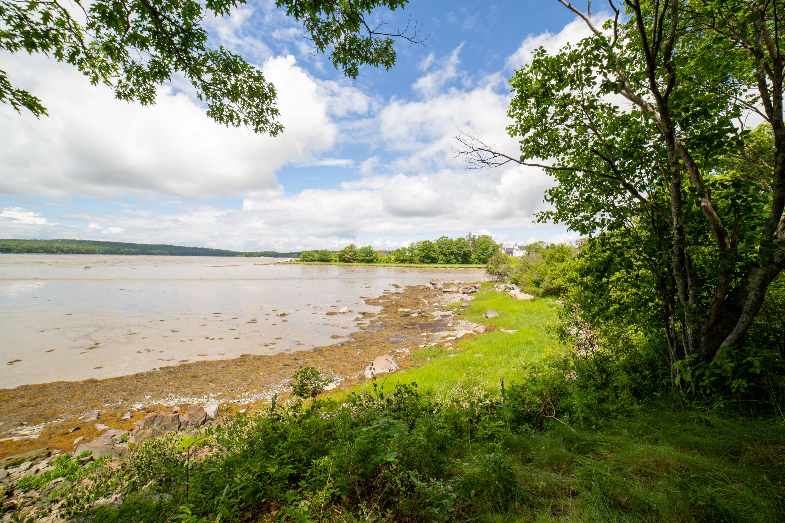 57 Southern Bay Road Penobscot, ME 04476 - Photo 74 of 77 3G3B5654