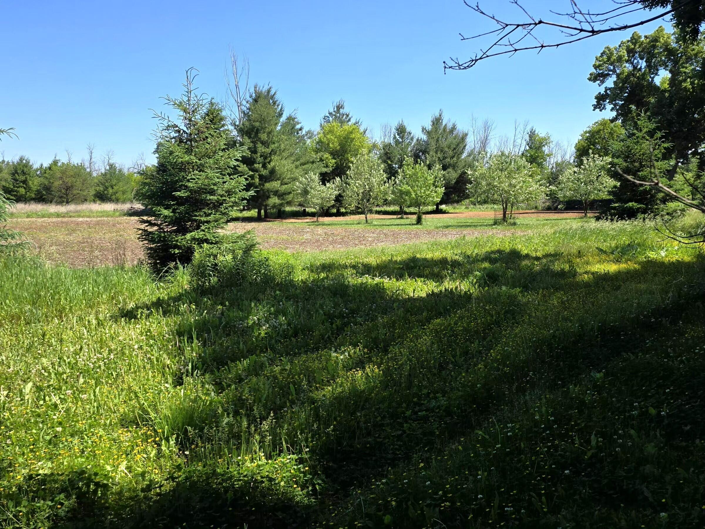 W985 Fur Farm Road New Holstein, WI 53061 - Photo 34 of 57 12011