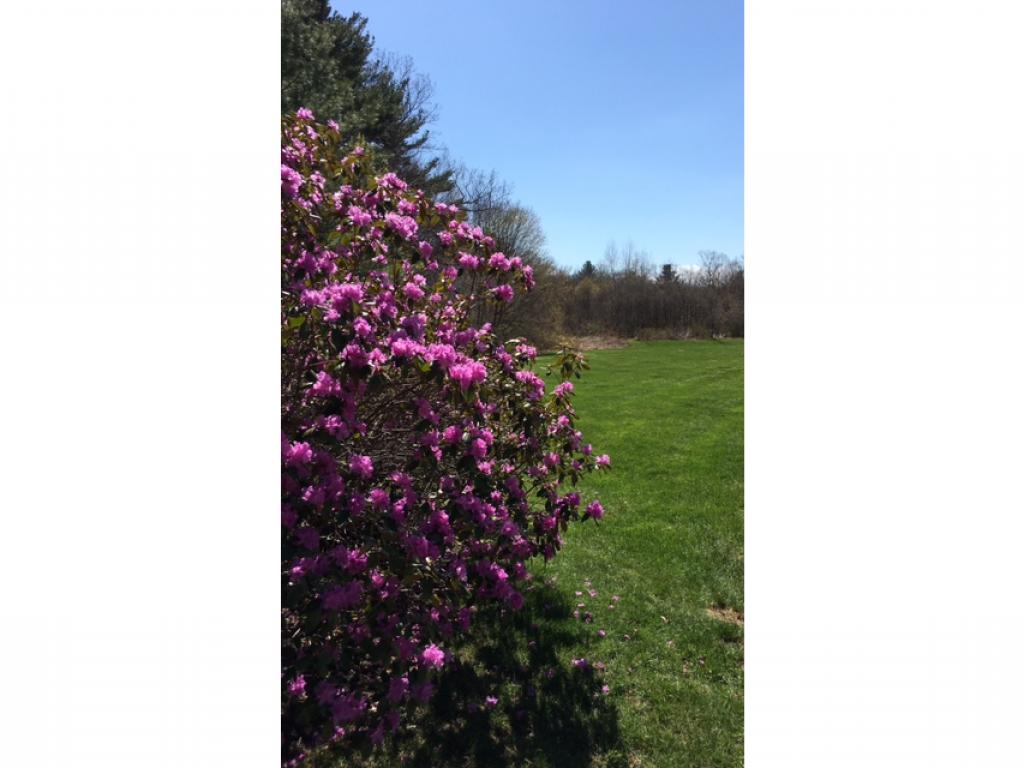 2 Schooner Landing, Unit 2 Hampton, NH 03842 - Photo 3 of 19