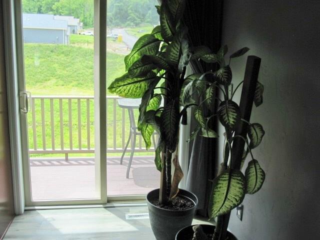305 Wineberry Ridge Court Irwin, PA 15642 - Photo 9 of 19 Gallery Image 9