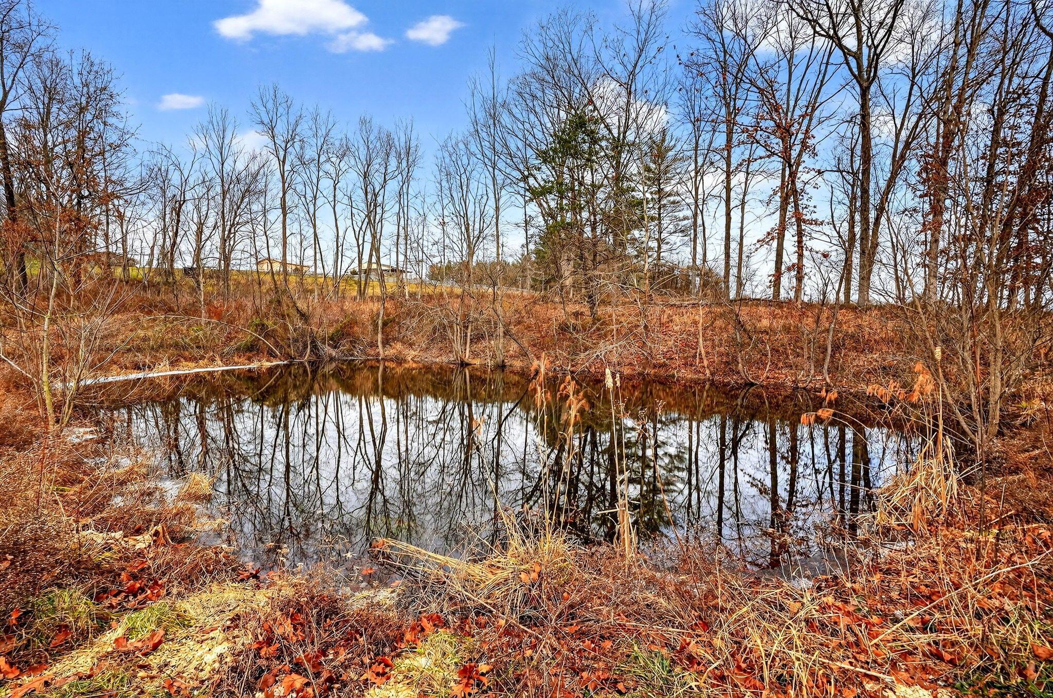 3133 4 Mile Road Jackson, OH 45640 - Photo 16 of 40 15. 3133 Four Mile Rd 46