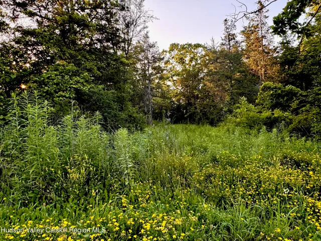 $257,000 | Lot 6 Stickles Road, Hudson, NY 12534