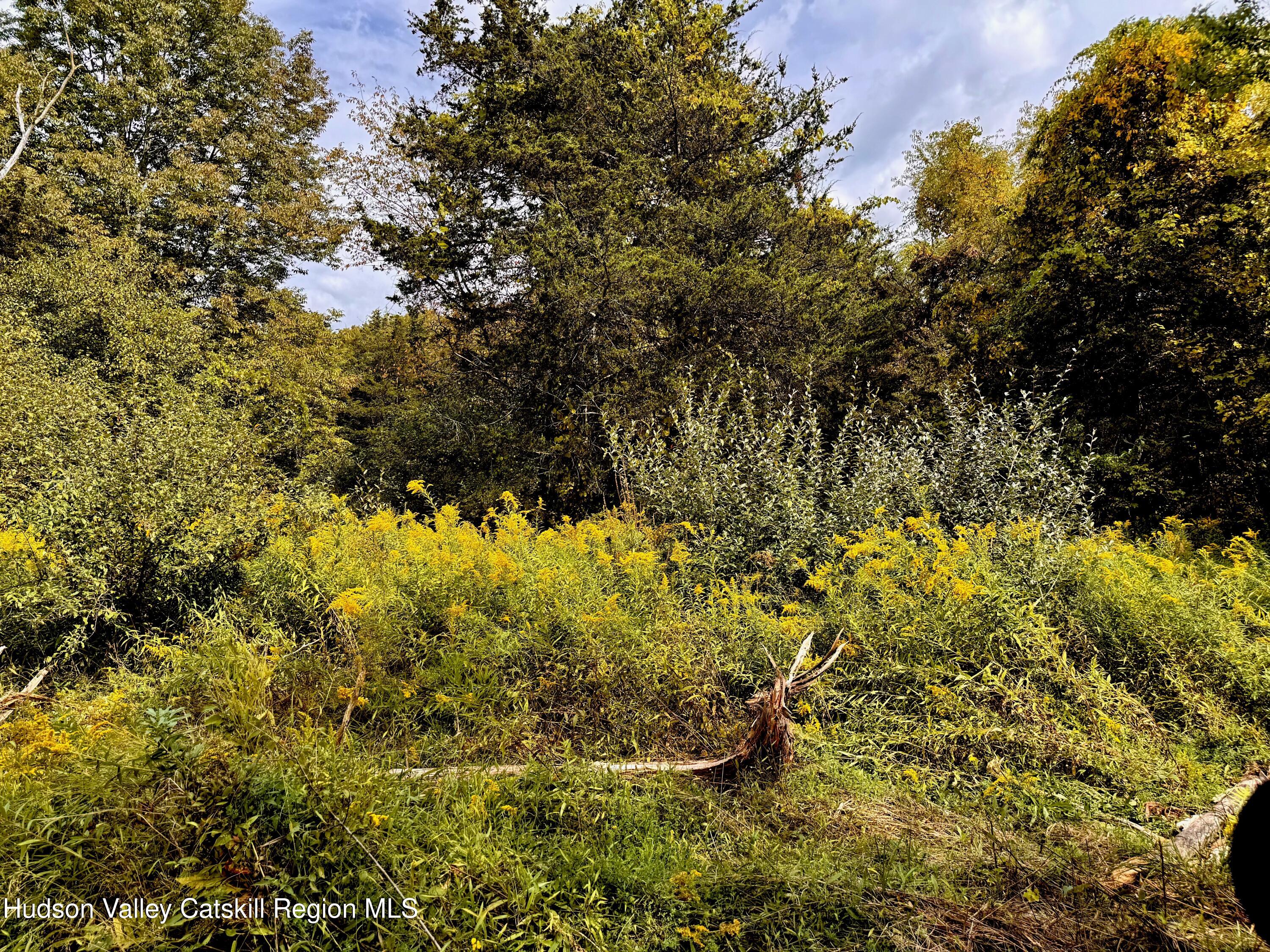 Lot 6 Stickles Road Hudson, NY 12534 - Photo 5 of 14 IMG_5743