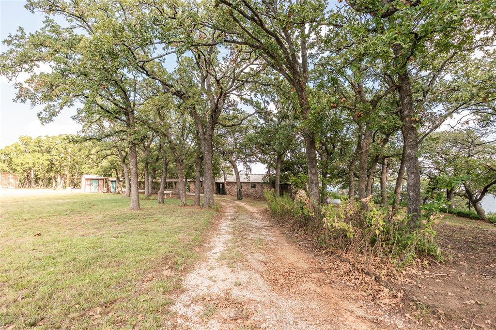 722 Storey Road Nocona, TX 76255 - Photo 29 of 40 a view of yard with trees