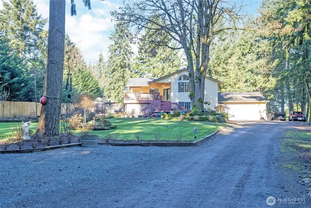 a view of a backyard with large trees and plants