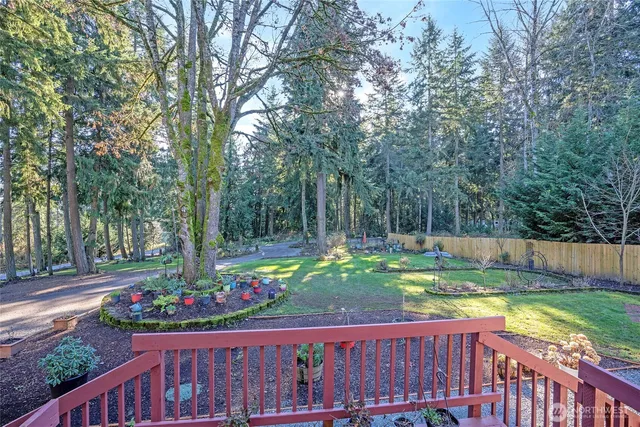 a view of a backyard with table and chairs plants and large trees