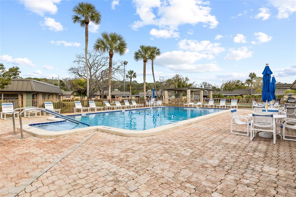 4467 Rustic Drive New Port Richey, FL 34652 - Photo 34 of 44 a view of a swimming pool with a lounge chairs