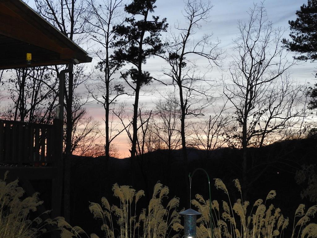 380 Bear Trail Murphy, NC 28906 - Photo 3 of 39