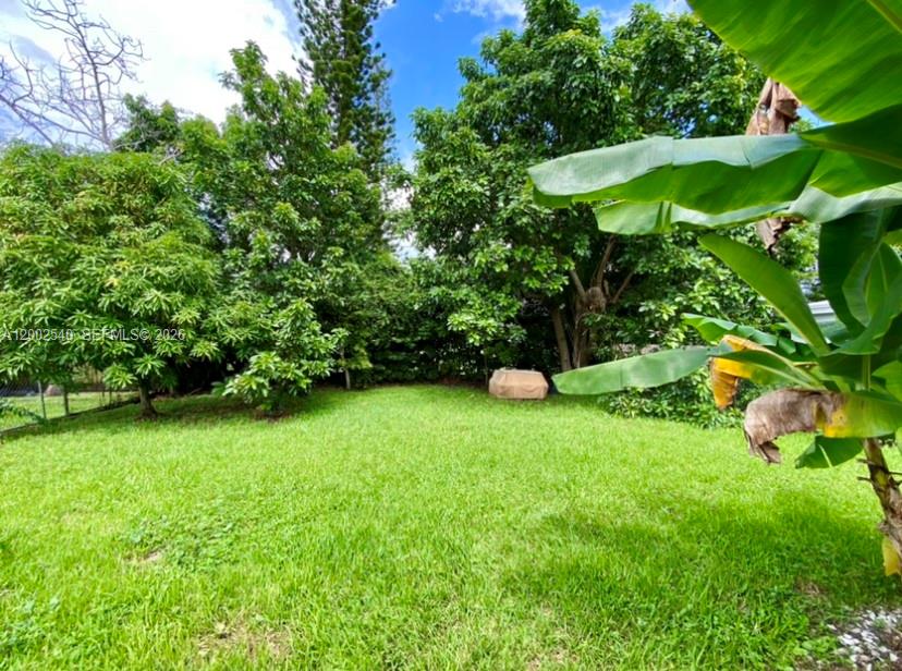 4619 Southwest 10th Street Miami, FL 33134 - Photo 29 of 30 a view of a wooden house with a yard
