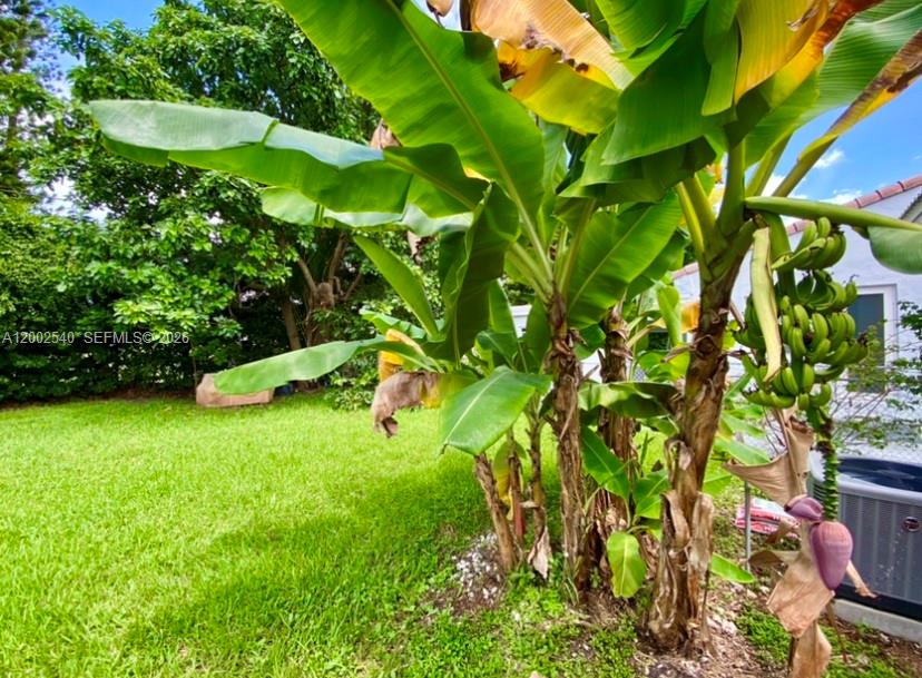 4619 Southwest 10th Street Miami, FL 33134 - Photo 30 of 30 a backyard of a house with lots of green space