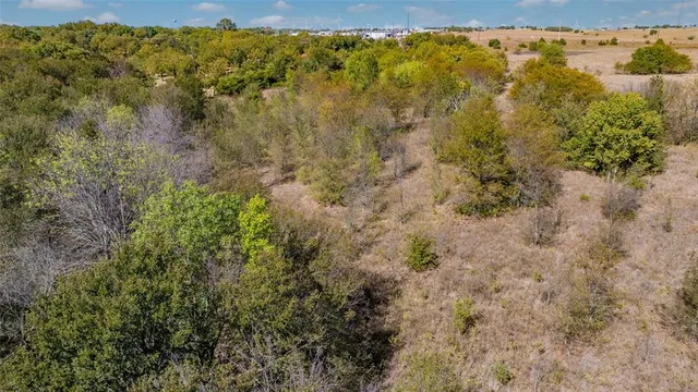 a view of a yard with plants