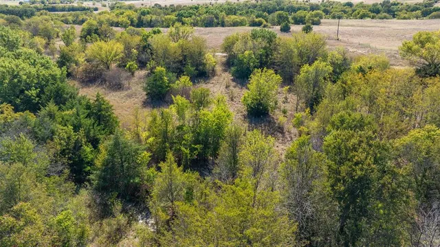 a view of a forest with a house
