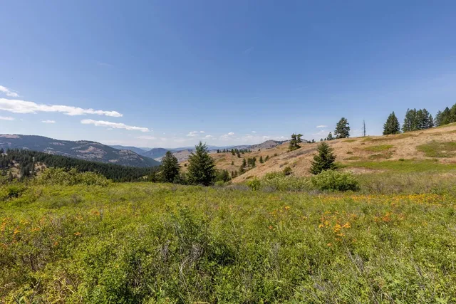 $349,000 | 253 White Mountain Road, Curlew, WA 99118