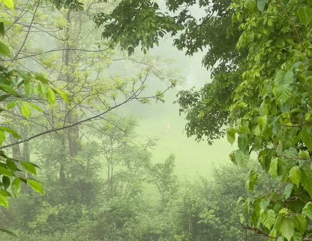 $374,900 | 2505 Meier Road, Evansville, IN 47720