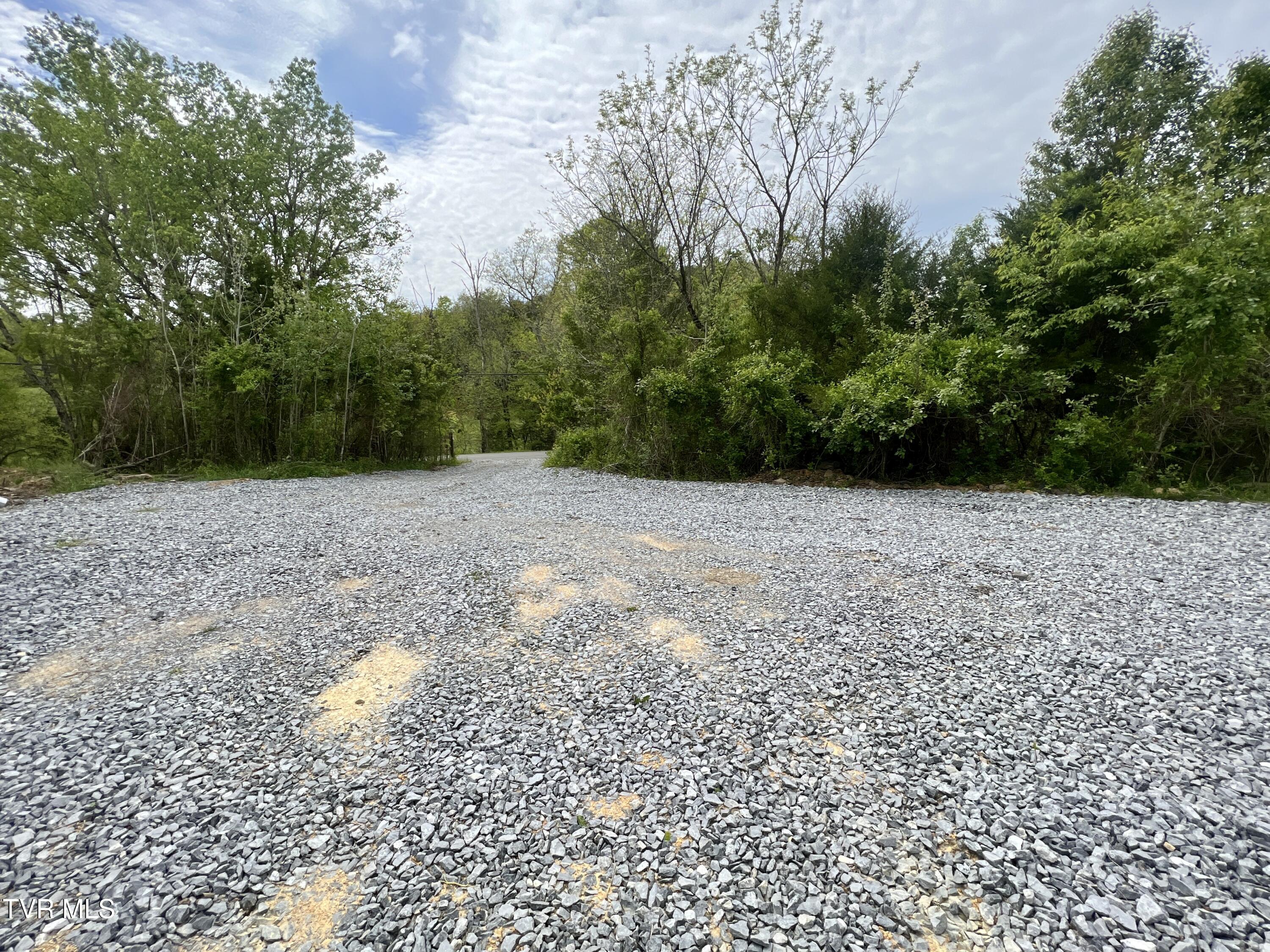 3050 Shackleford Road, Unit P/O Mosheim, TN 37818 - Photo 9 of 79 _Pic10 (47)