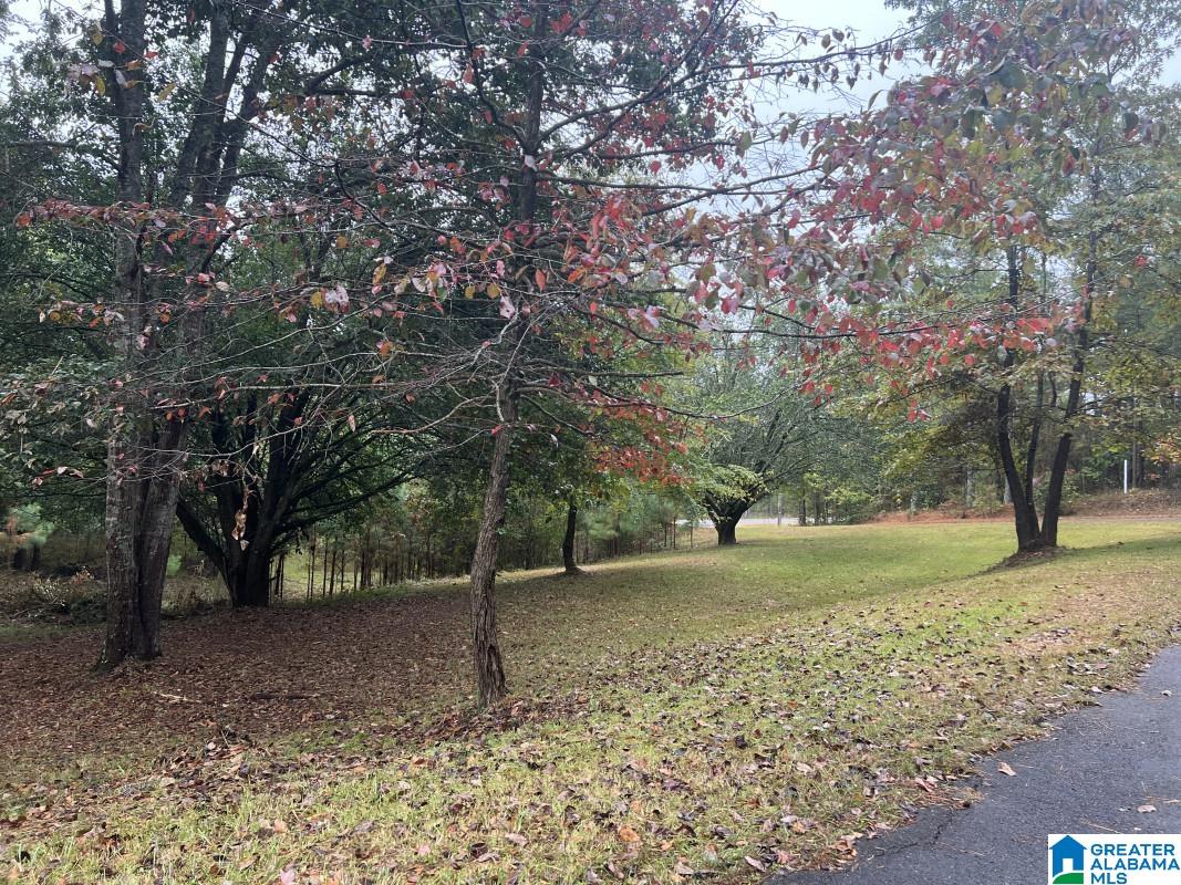 2671 Mountain View Road Odenville, AL 35120 - Photo 2 of 12