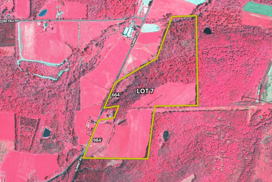 Lot 7 Summit Road Cuba, NY 14727 - Photo 27 of 31