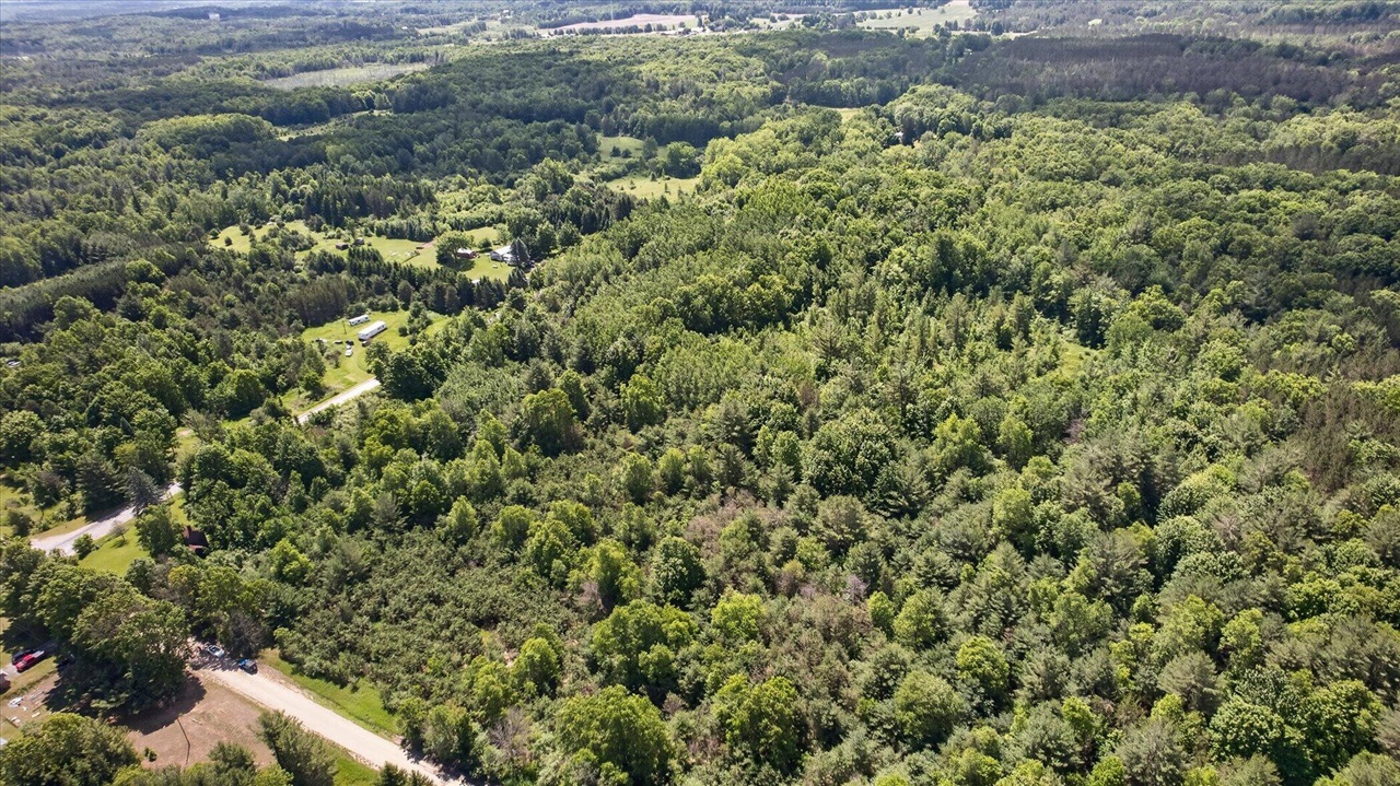 V/l South Deer Lake Road Reed City, MI 49677 - Photo 8 of 16