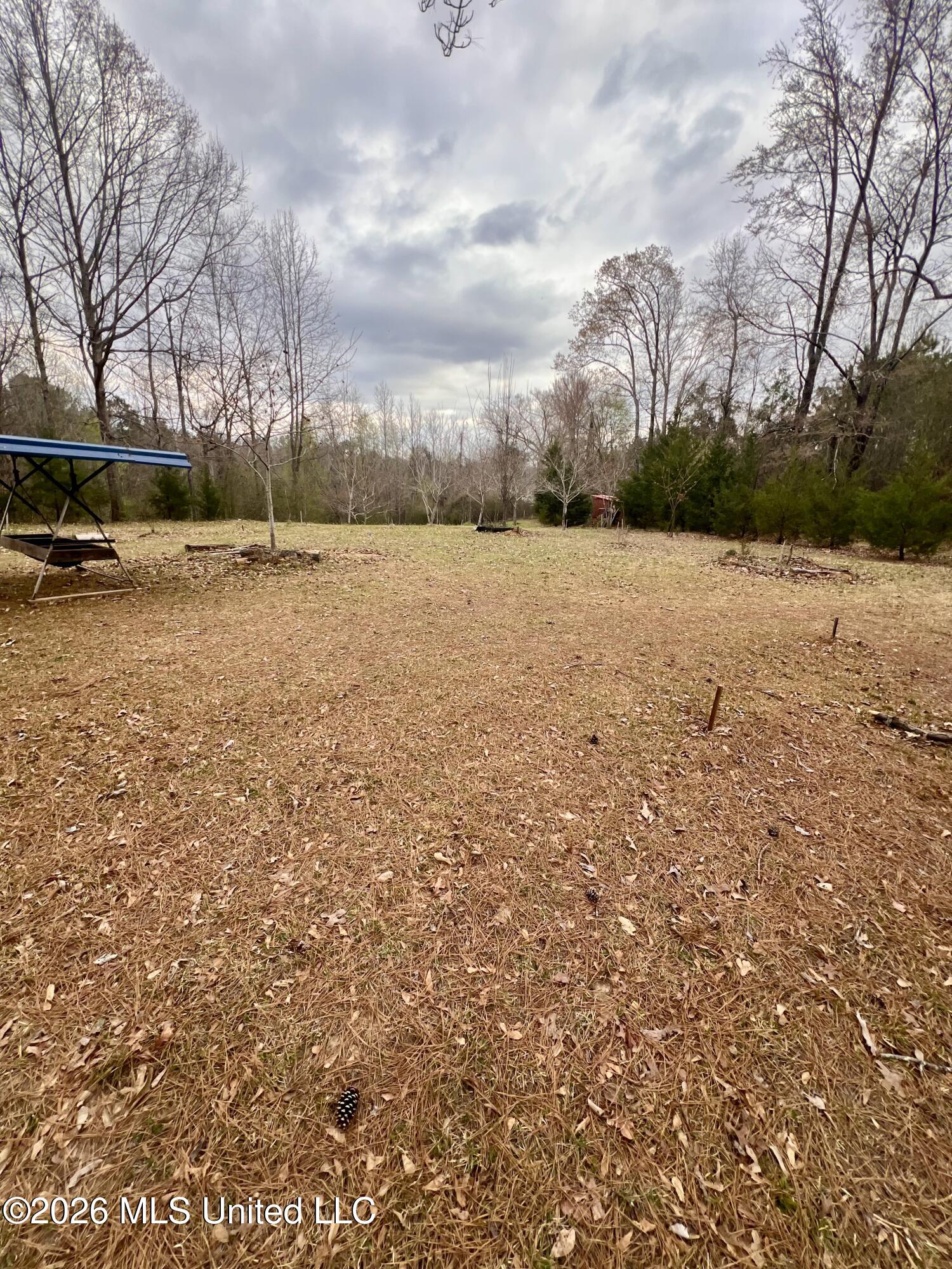 3085 Beauregard Road Wesson, MS 39191 - Photo 14 of 15 IMG_5149