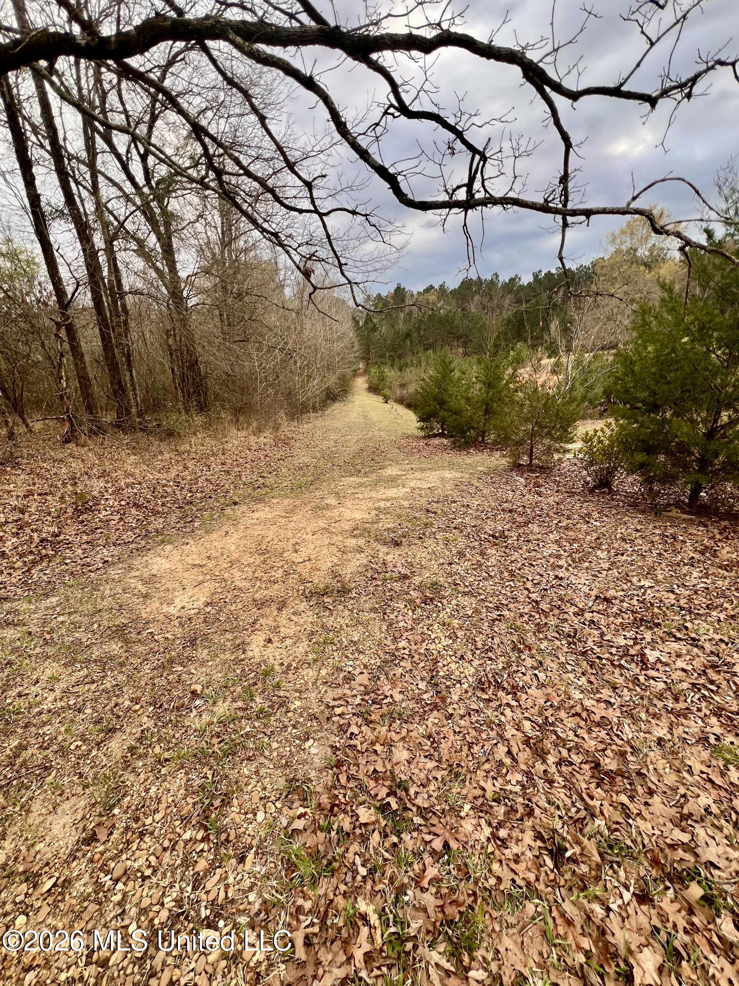 3085 Beauregard Road Wesson, MS 39191 - Photo 15 of 15 IMG_5150