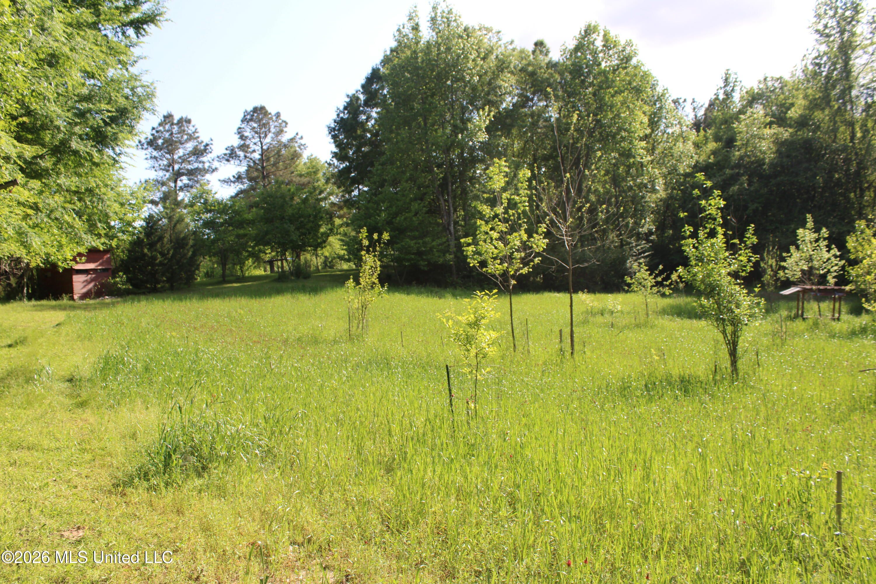 3085 Beauregard Road Wesson, MS 39191 - Photo 19 of 21 IMG_9411