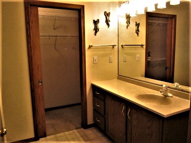 693 Lake Summerset Road Lake Summerset, IL 61019 - Photo 10 of 25 a bathroom with a sink and mirror