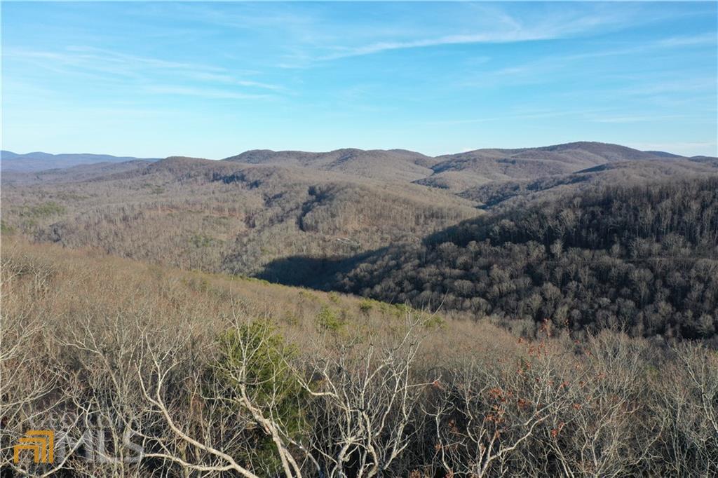 238 Andes Ridge Talking Rock, GA 30175 - Photo 1 of 1 a view of a large body of water and mountain