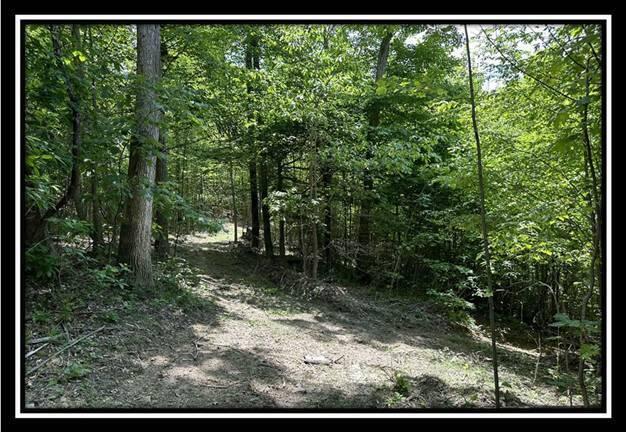 167 Weaver Road, Unit TRACT A) Chillicothe, OH 45601 - Photo 21 of 45 image021