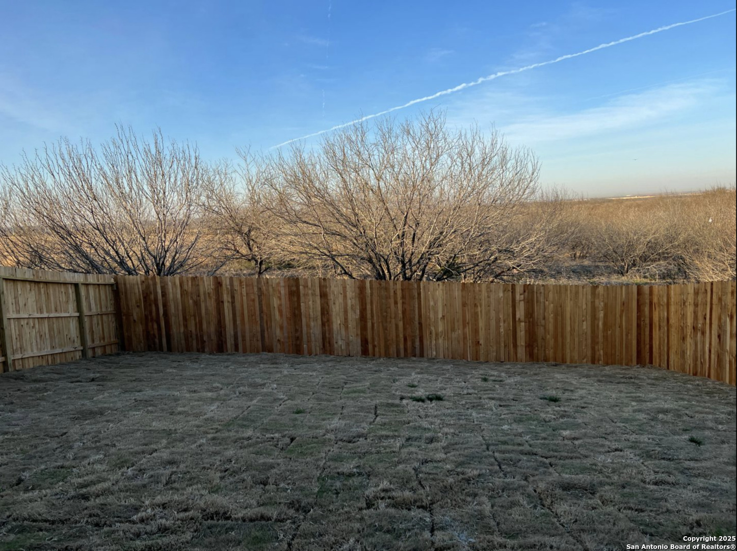 4215 Asher Alley St. Hedwig, TX 78152 - Photo 17 of 21 a view of a backyard